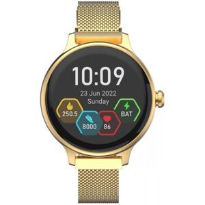 Carneo Hero mini HR+ Gold Gold