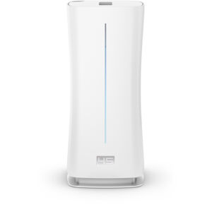 Stadlerform Eva Little White