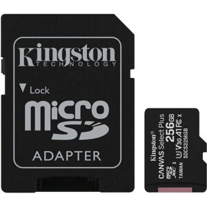 Kingston SDCS2/256GB