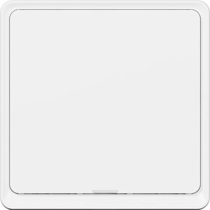 Tesla Smart Switch