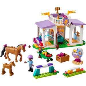 Lego 41746 Horse Training