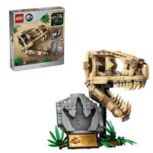 Lego 76964 Dino Fos: T. rex Skull
