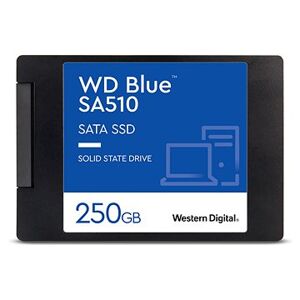 WD Blue SA510 SATA 250 GB 2,5