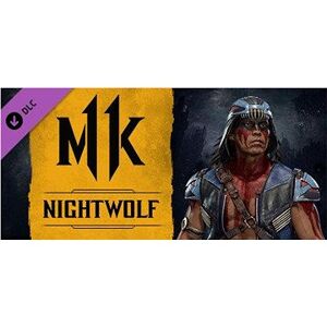 Mortal Kombat 11 Nightwolf (PC) Steam