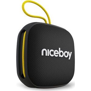 Niceboy RAZE Mini 4