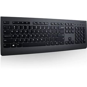 Lenovo Professional Wireless Keyboard and Mouse – SK